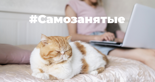 Самозанятость 2025: кому подойдет, регистрация, налоги