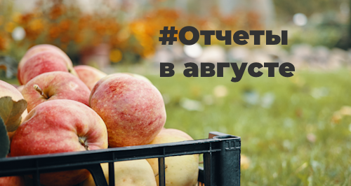 Отчетность за август 2023 года: шпаргалка для бухгалтера