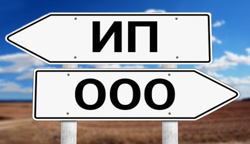 ИП или ООО: что выбрать?