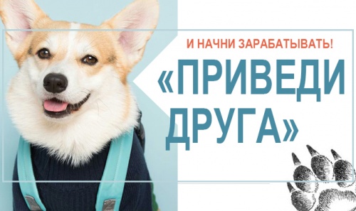Приведи друга и начни зарабатывать!