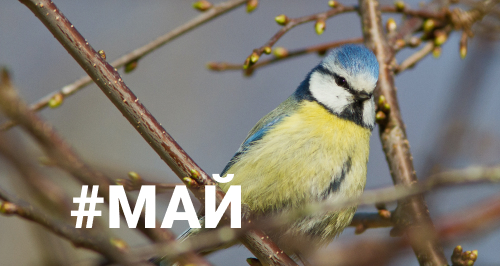 О работе «Е-Офис 24» в майские праздники