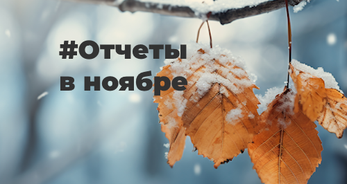 Отчетность за ноябрь 2023 года: шпаргалка для бухгалтера