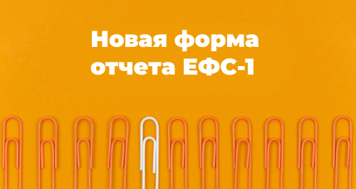 ЕФС-1 в 2024 году: обзор изменений новой формы