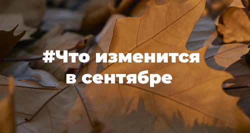 Какие законы вступят в силу в сентябре 2023 года
