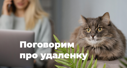 Дистанционные работники и их права: как организовать работу с удаленщиками по закону